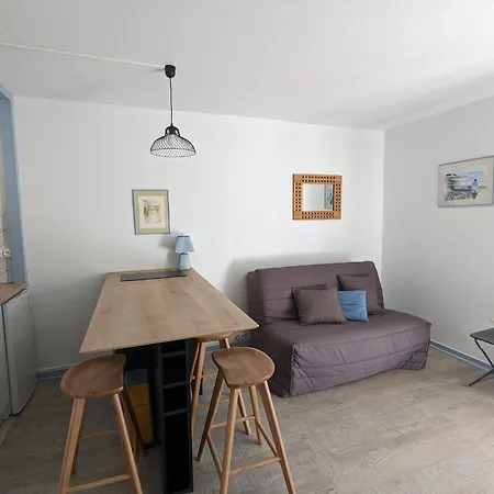 公寓 21m² Calme Avec Balcon En Centre-ville, Proche Gare Et - - Fr-1-420-55